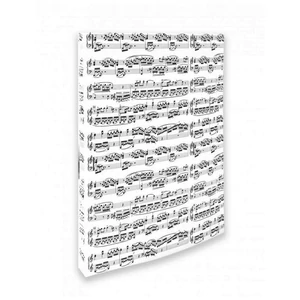 Mappa, fehér alapon fekete kottamintával, két gyűrűs, A/4 méretű