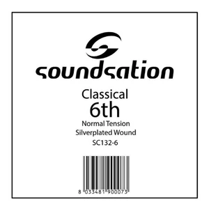 Klasszikusgitár húr darab St., ezüst bevonatos nylon E6