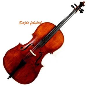 Cselló tiszta fa, frissen beállított 4/4