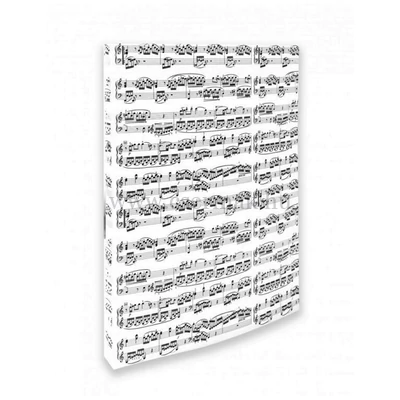 Mappa, fehér alapon fekete kottamintával, két gyűrűs, A/4 méretű