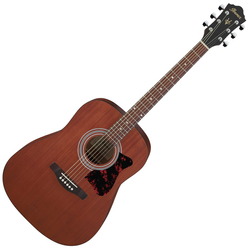 Akusztikus gitárkészlet Ibanez V54NJP