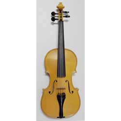 Violin 4/4 Csermak VNC44 13789