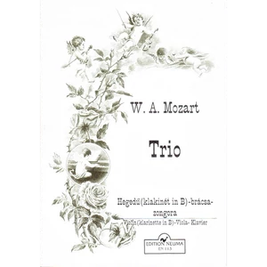 TRIO HEGEDŰ (KLARINÉT IN B)-BRÁCSA-ZONGORA
