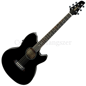 Akusztikus gitár Ibanez TCY