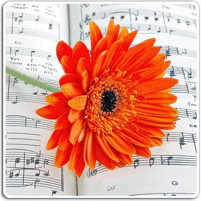 Egérpad hologramos,  gerbera  26X20 cm 29409