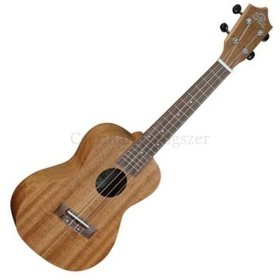 UKULELE koncert, PUBE, barna