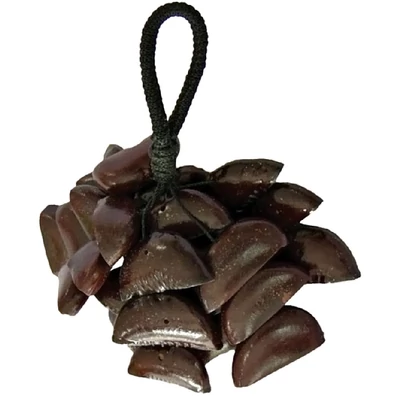Shaeker Terre H. Juju