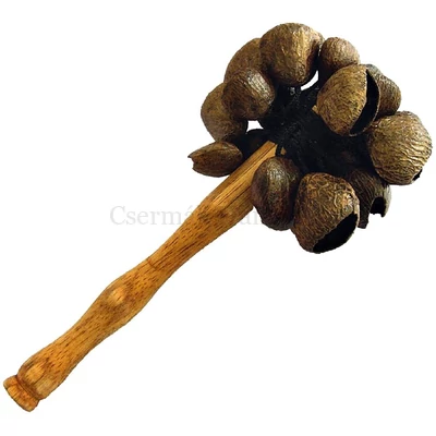 Shaeker Terre  Kemiri Pala-seed