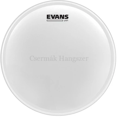 Dobbőr 14" Evans 2 Coated B14UV1