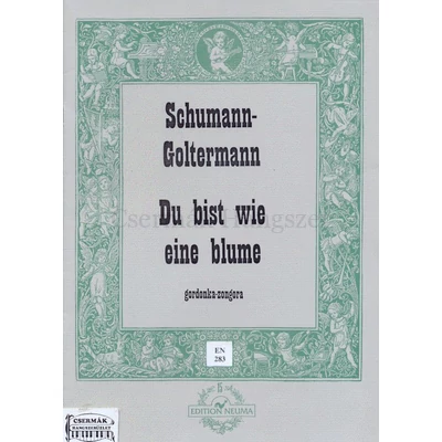 DU BIST WIE EINE BLUME GORDONKÁRA ÉS ZONGORÁRA