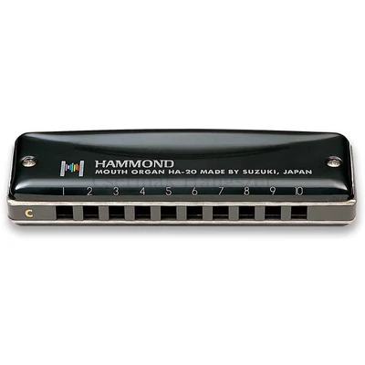 Suzuki Hammond C