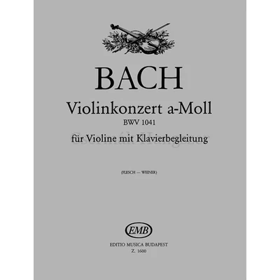 Bach, Johann Sebastian, Hegedűverseny a-moll BWV 1041
