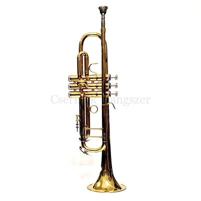 Trombita Karl Glaeser használt, újszerű állapotban Trombita Karl Glaeser használt, újszerű állapotban