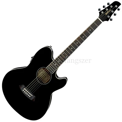 Akusztikus gitár Ibanez TCY