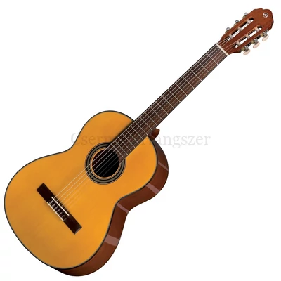 Klasszikus gitár VGS tanuló