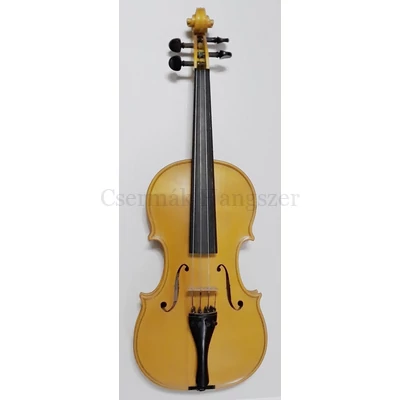 Violin 4/4 Csermak VNC44 13789