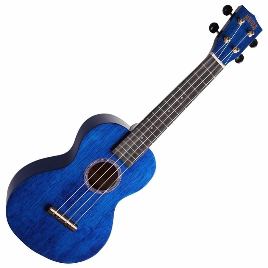 Ukulele koncert Hano TBU